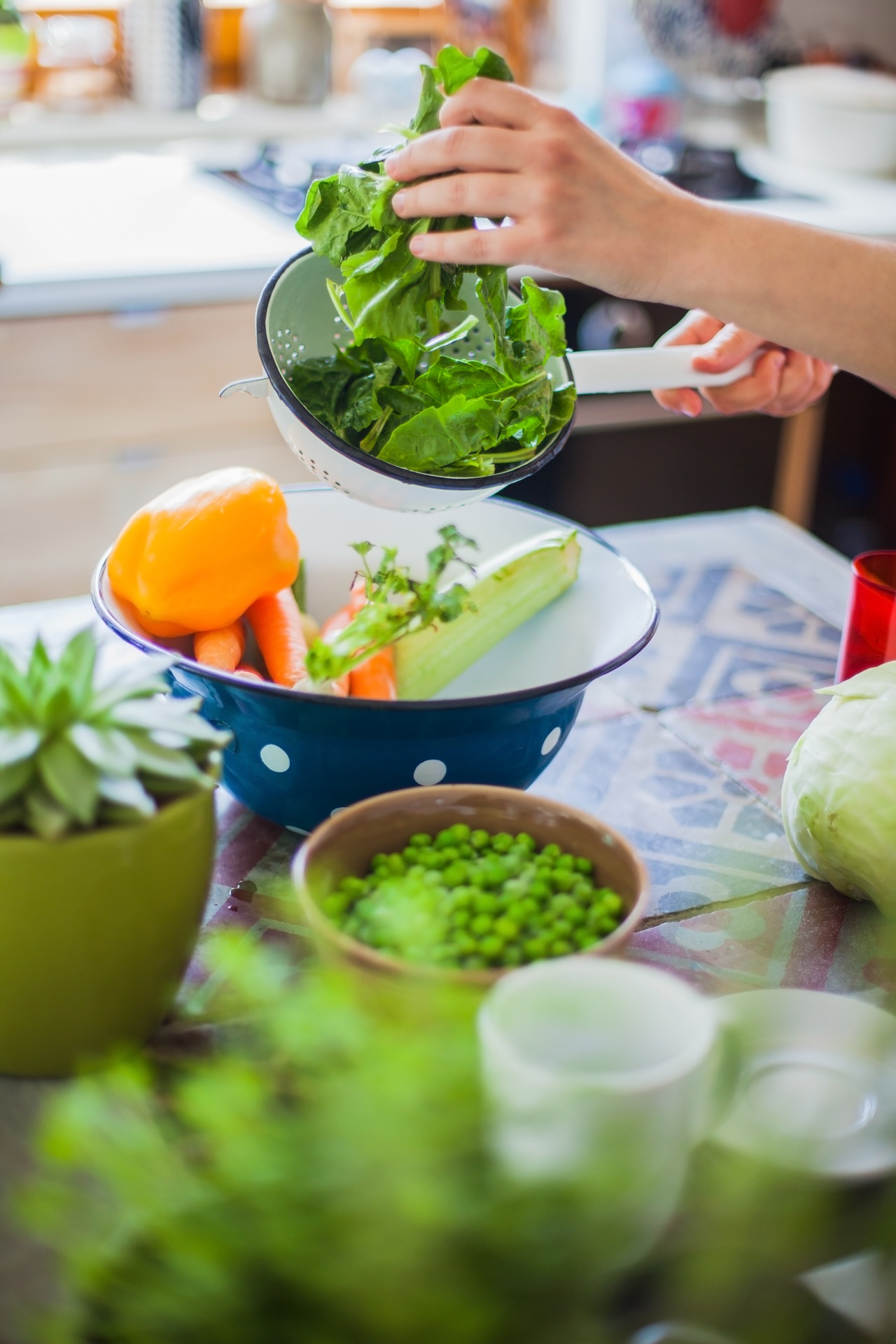 Treinamento - A importância da Alimentação Natural